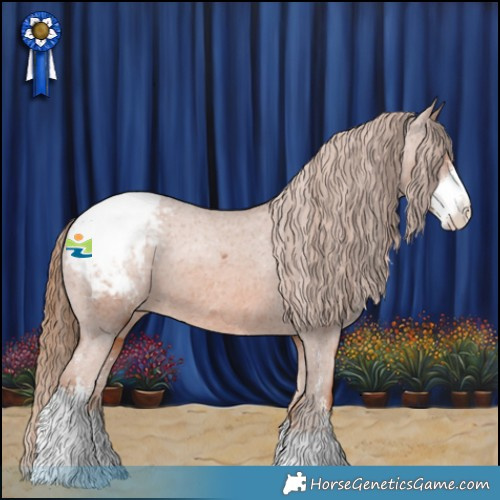 Horse Color:Chestnut Sabino Appaloosa 