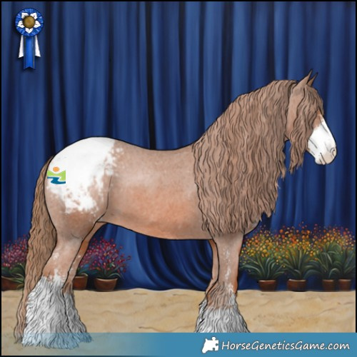 Horse Color:Chestnut Sabino Appaloosa 