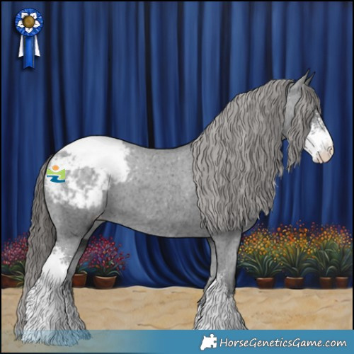 Horse Color:Black Sabino Appaloosa 