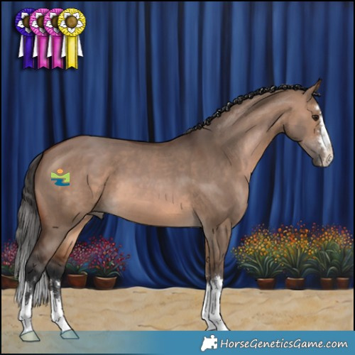 Horse Color:Brown Dun 