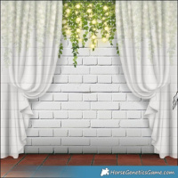 Horse Color:Brown Sabino Appaloosa Rabicano 