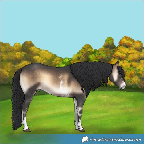 Horse Color:Brown Onyx Sabino 