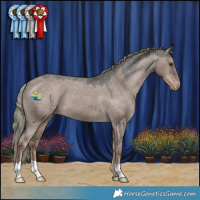 Horse Color:Liver Red Dun Mushroom Appaloosa