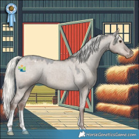 Horse Color:Liver Red Dun Mushroom Appaloosa 