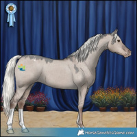 Horse Color:Liver Red Dun Mushroom Appaloosa 
