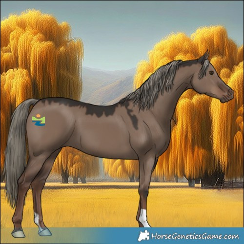 Horse Color:Liver Red Dun Mushroom 