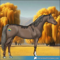 Horse Color:Liver Red Dun Mushroom 