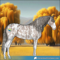 Horse Color:Liver Red Dun Mushroom Sabino Appaloosa Brindle 