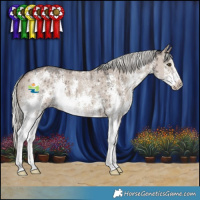 Horse Color:Liver Red Dun Mushroom Sabino Brindle 