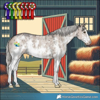 Horse Color:Liver Red Dun Mushroom Sabino Brindle 