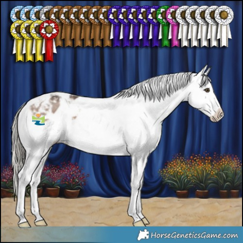 Horse Color:Liver Red Dun Mushroom Sabino Varnish