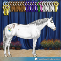 Horse Color:Liver Red Dun Mushroom Sabino Appaloosa 