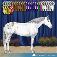 Horse Color:Liver Red Dun Mushroom Sabino Varnish