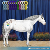 Horse Color:Liver Red Dun Mushroom Sabino Appaloosa 