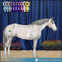 Horse Color:Liver Red Dun Mushroom Sabino Appaloosa 