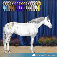 Horse Color:Liver Red Dun Mushroom Sabino Appaloosa 