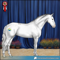 Horse Color:Liver Red Dun Mushroom Sabino Appaloosa 