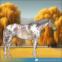 Horse Color:Nacre White Spotted Chocolate Palomino