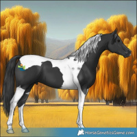 Horse Color:Black Tobiano 