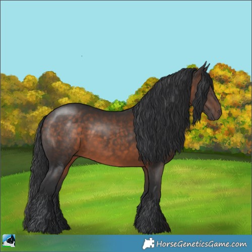 Horse Color:Brown Rabicano 