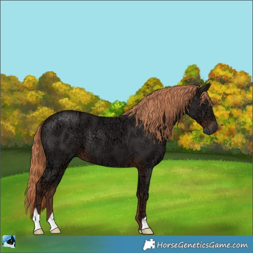 Horse Color:Liver Chestnut Ice 