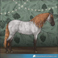 Horse Color:Liver Red Roan 