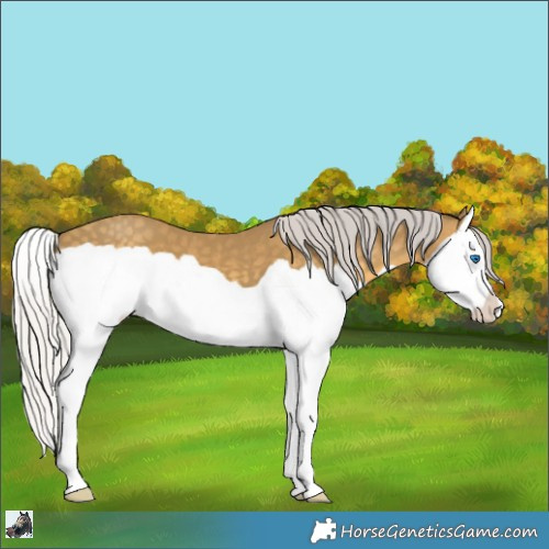 Horse Color:Silver Classic Cream Champagne Splash 