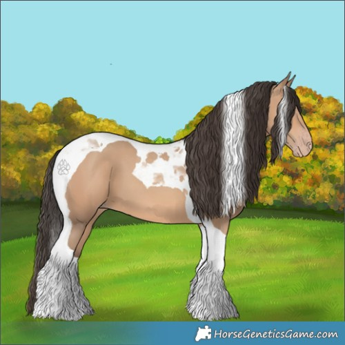 Horse Color:Amber Champagne Tobiano 