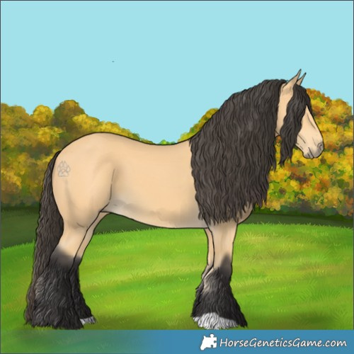 Horse Color:Buckskin