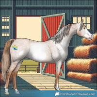 Horse Color:Gray Gold Champagne Roan Frame 