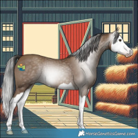Horse Color:Gray Classic Champagne Splash 