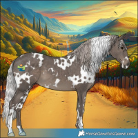 Horse Color:White Spotted Silver Black