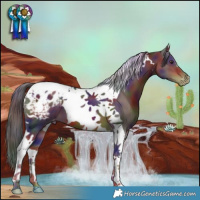 Horse Color:Nacre Liver Chestnut Tobiano Blanket 