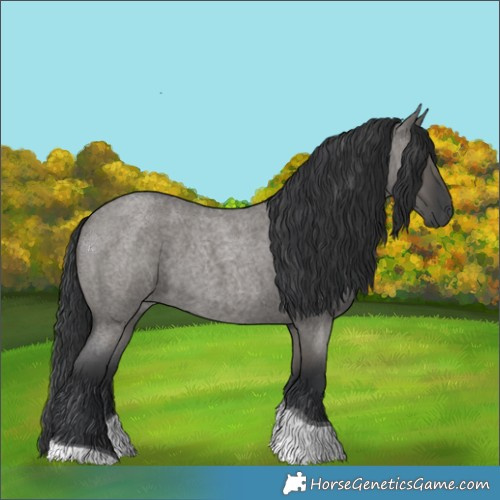 Horse Color:Grullo Roan Tobiano