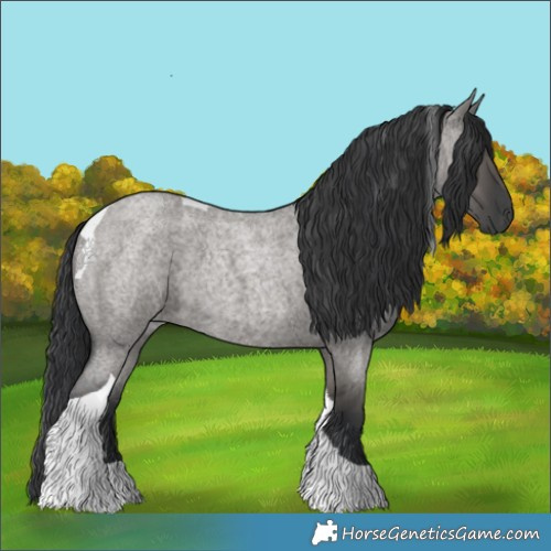 Horse Color:Grullo Roan Tobiano