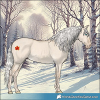 Horse Color:Silver Perlino Dun 