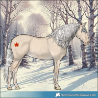 Horse Color:Silver Perlino Dun 