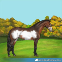 Horse Color:Brown Frame 