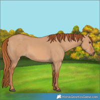 Horse Color:Red Dun