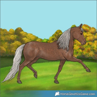 Horse Color:Silver Black 