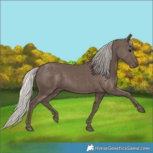 Horse Color:Silver Black 