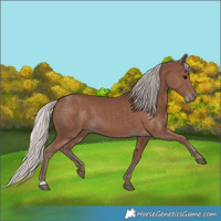 Horse Color:Silver Black 