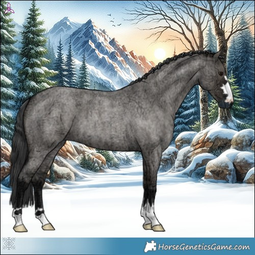 Horse Color:Grullo Ice Roan