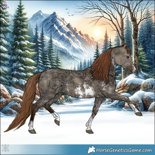 Horse Color:Red Dun Ice Sabino 