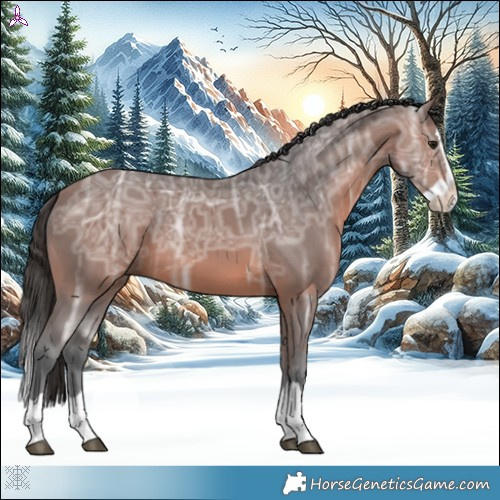 Horse Color:Brown Ice Splash