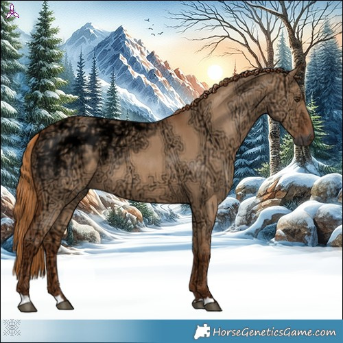 Horse Color:Red Dun Ice