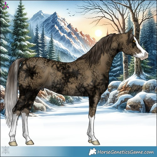 Horse Color:Classic Cream Champagne Ice Splash Rabicano 