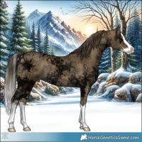 Horse Color:Classic Cream Champagne Ice Splash Rabicano