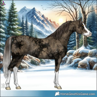 Horse Color:Classic Cream Champagne Ice Splash Rabicano 