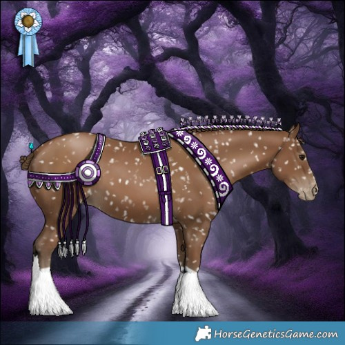 Horse Color:Gray Black Pearl Snowflake Varnish 